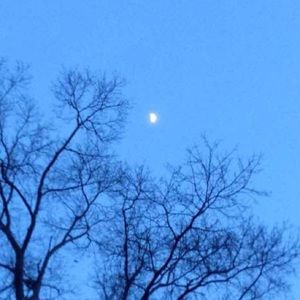 Meet your Posher, Chloe